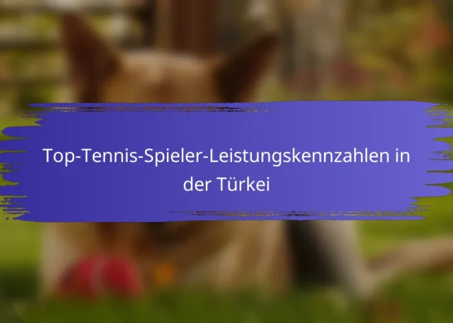 Top-Tennis-Spieler-Leistungskennzahlen in der Türkei