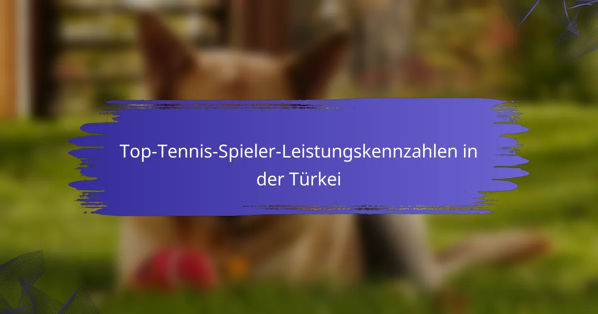 Top-Tennis-Spieler-Leistungskennzahlen in der Türkei