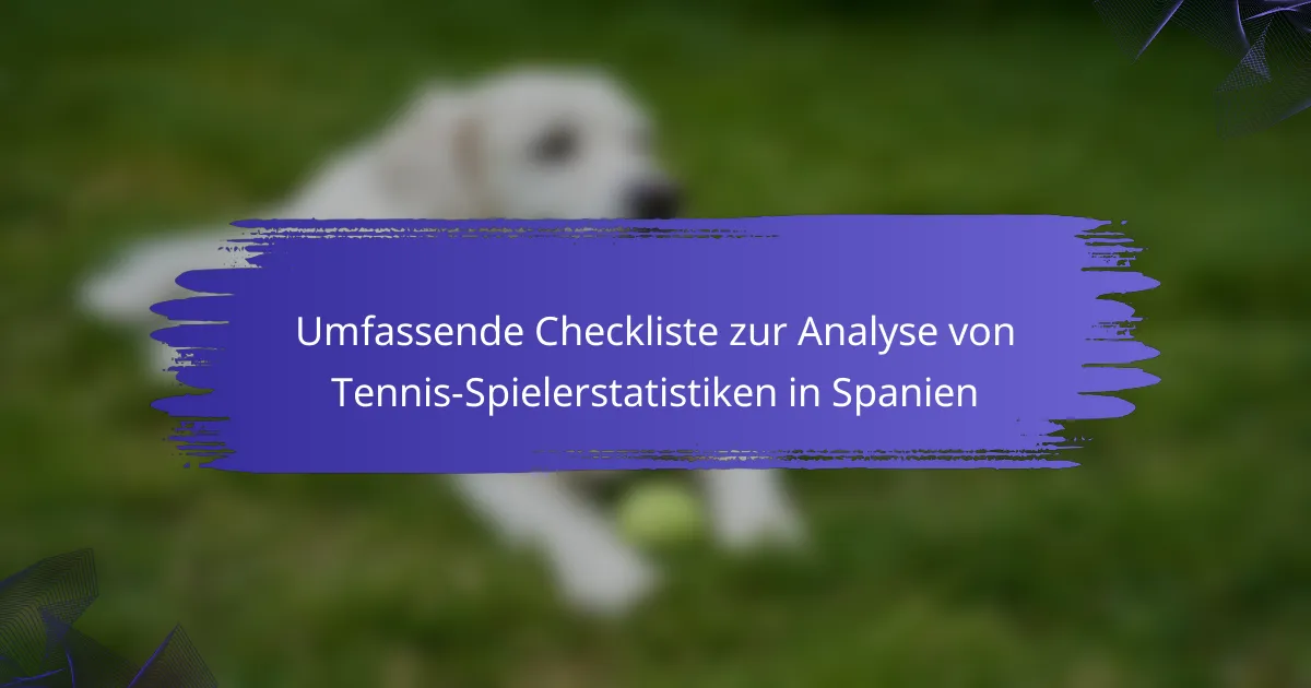 Umfassende Checkliste zur Analyse von Tennis-Spielerstatistiken in Spanien