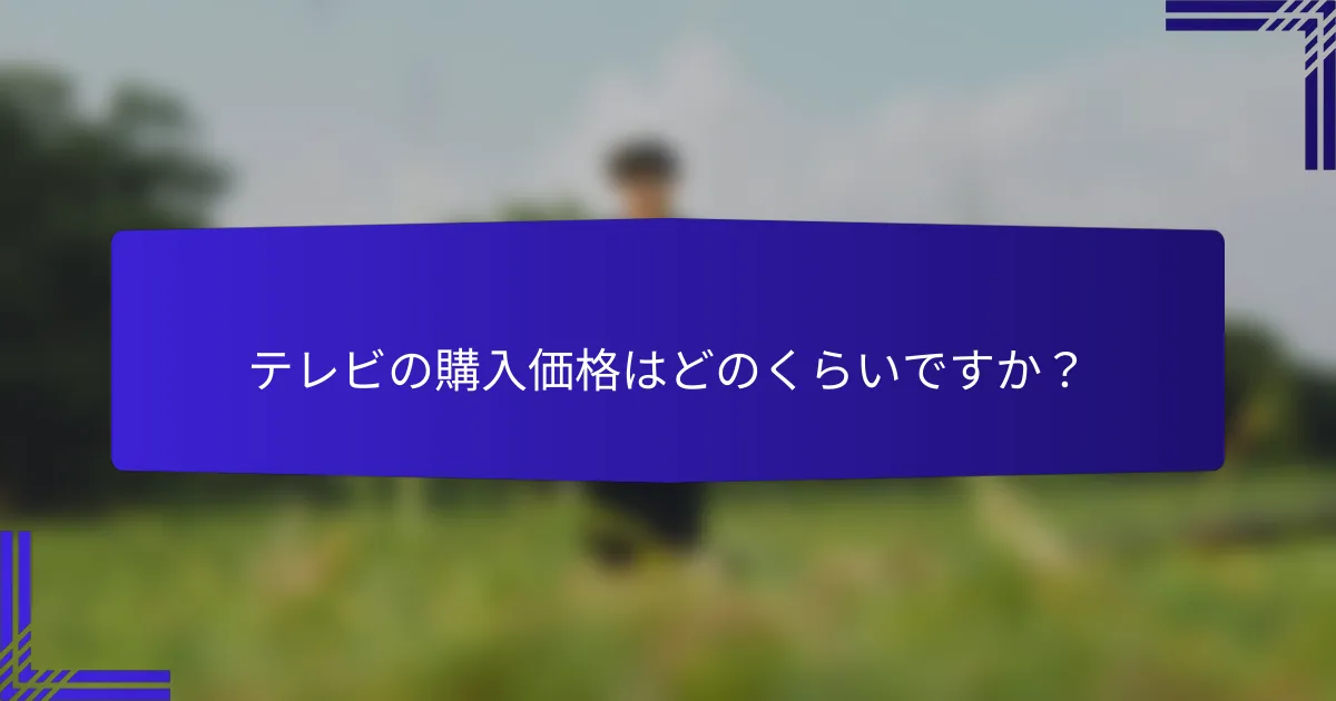 テレビの購入価格はどのくらいですか？